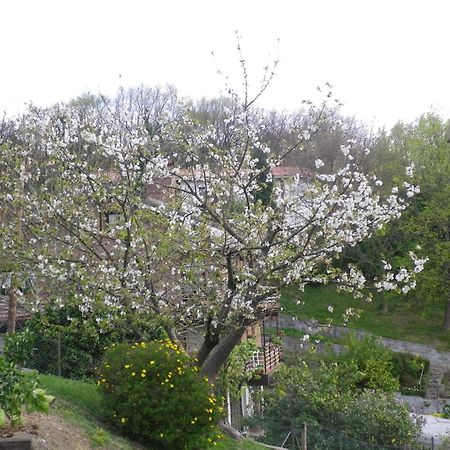 Casa Rural Higeralde Hondarribia Exterior foto